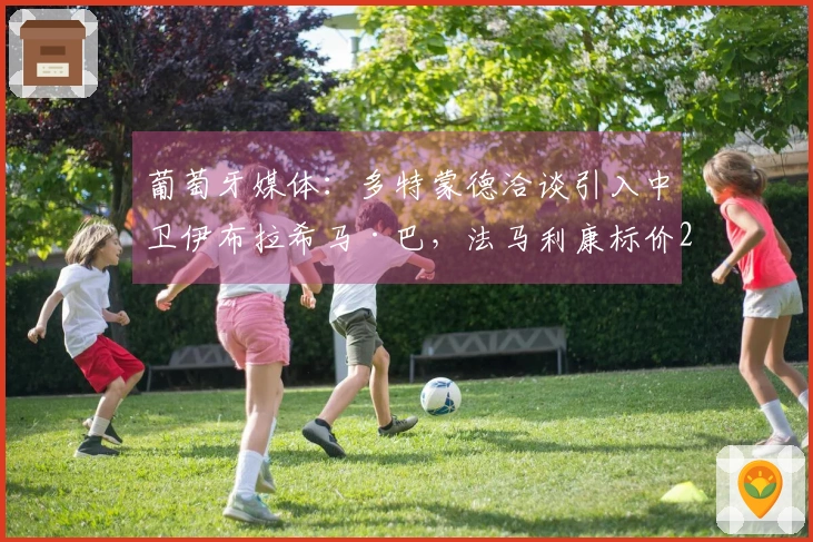 葡萄牙媒体：多特蒙德洽谈引入中卫伊布拉希马·巴，法马利康标价2500万欧元