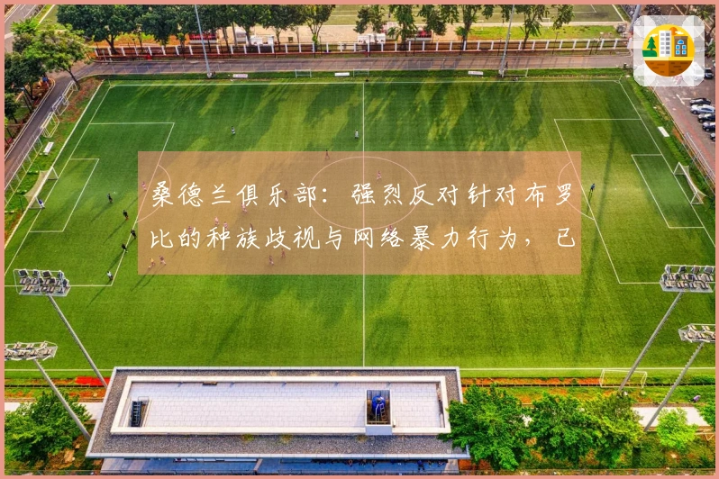 桑德兰俱乐部：强烈反对针对布罗比的种族歧视与网络暴力行为，已向英超官方报告