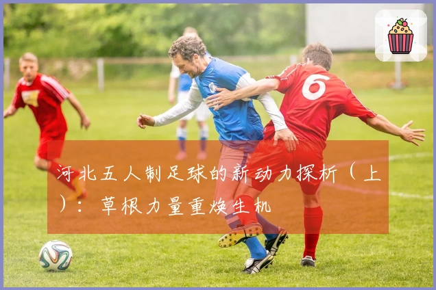 河北五人制足球的新动力探析（上）：草根力量重焕生机