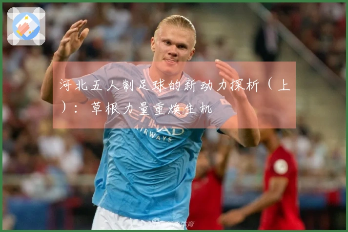 河北五人制足球的新动力探析（上）：草根力量重焕生机